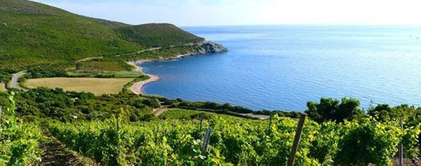 红酒入口报关：智利红酒入口报关流程及关税