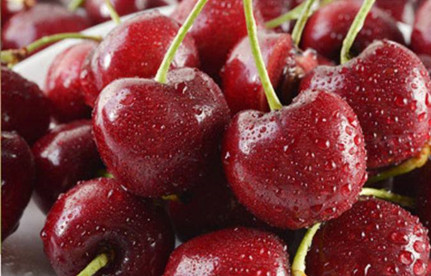 水果入口报关：智利车厘子入口清关流程及用度