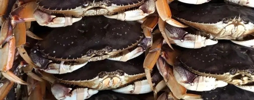 水产入口：海鲜入口从香港中转内地怎样清关？？