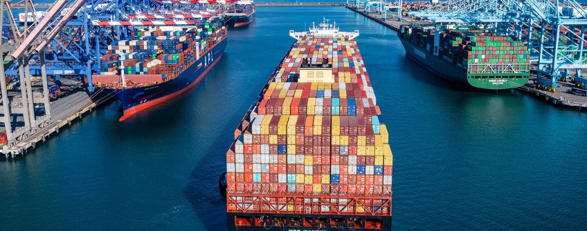 跨洋龙虾抢“鲜”进境：贝斯特收支口专业物流计划护航生鲜年货黄金季