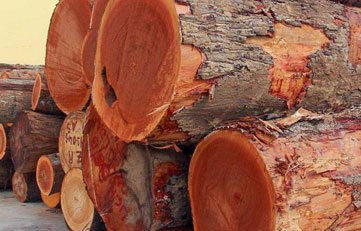 木料入口报关怎样申报？？？？？？木料入口清关注重事项？？？？？？