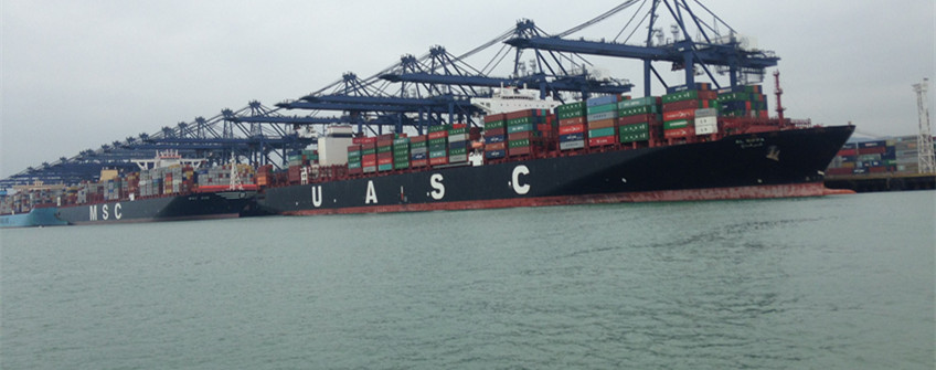 巴西鸡爪入口清关的提单是哪种