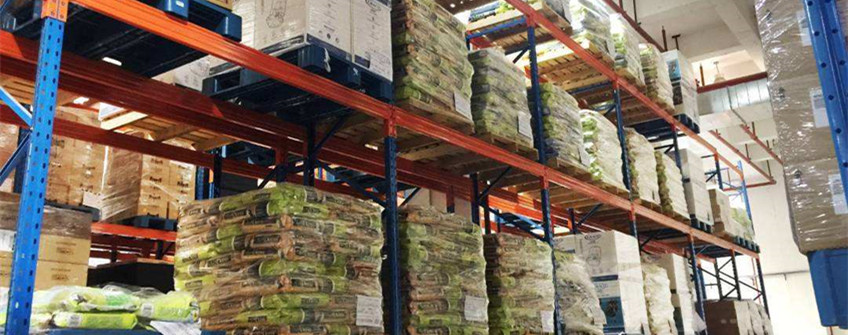  入口宠物粮怎样挑。？？？？？