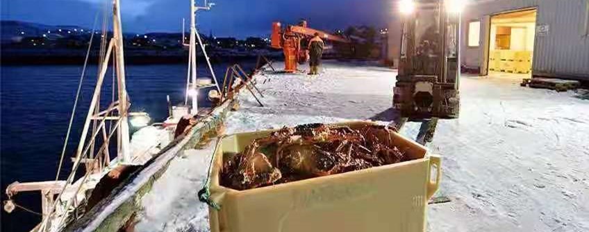 外洋活海鲜入口广州可以清关吗？？