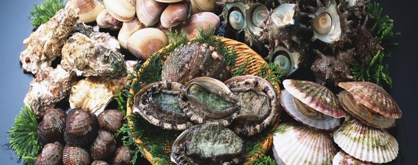 海鲜怎么入口报关？？？？？有哪些注重事项？？？？？