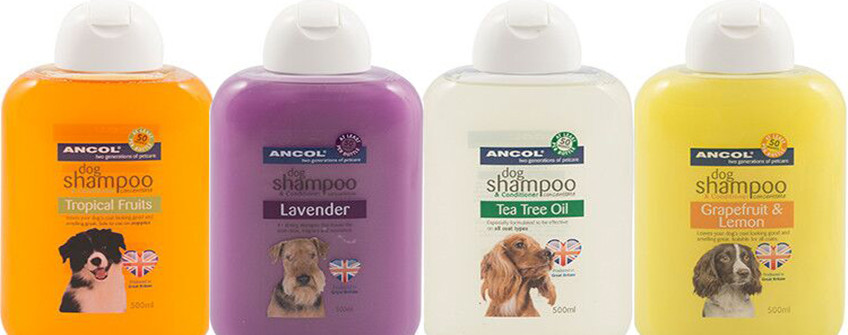 深圳入口报关：宠物沐浴露清关用度有哪些？？？